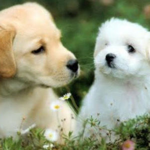 Meet your Posher, Makayla